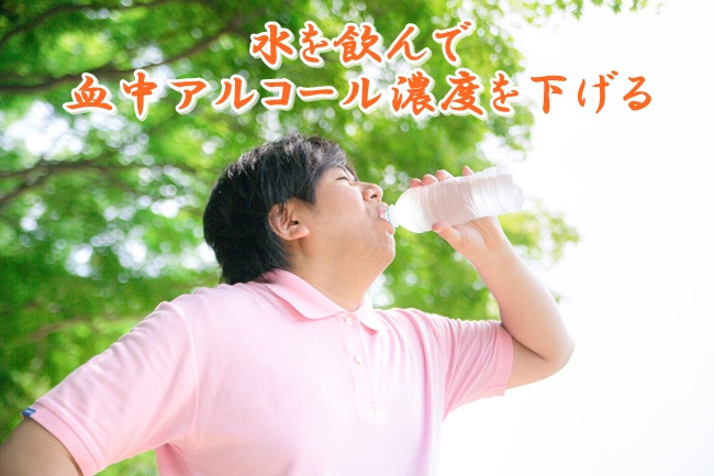 お酒,チンコ,勃たない